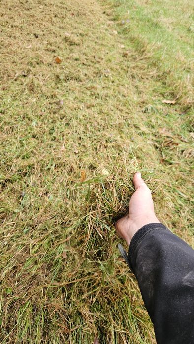 Usługi koszenia/karczowania mulczerem/kosiarką bijakową