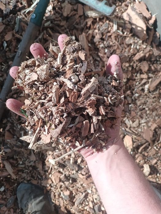 Wycinka drzew Pielęgnacja drzew i zieleni Usługi ogrodnicze