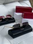 Очки Cartier Ct0474s