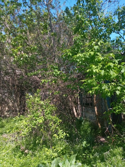 Земельна ділянка з хатиною під ремонт