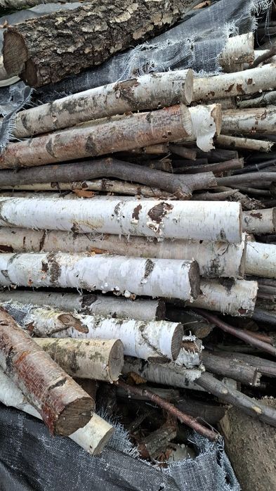 Drewno opałowe miękkie/twarde