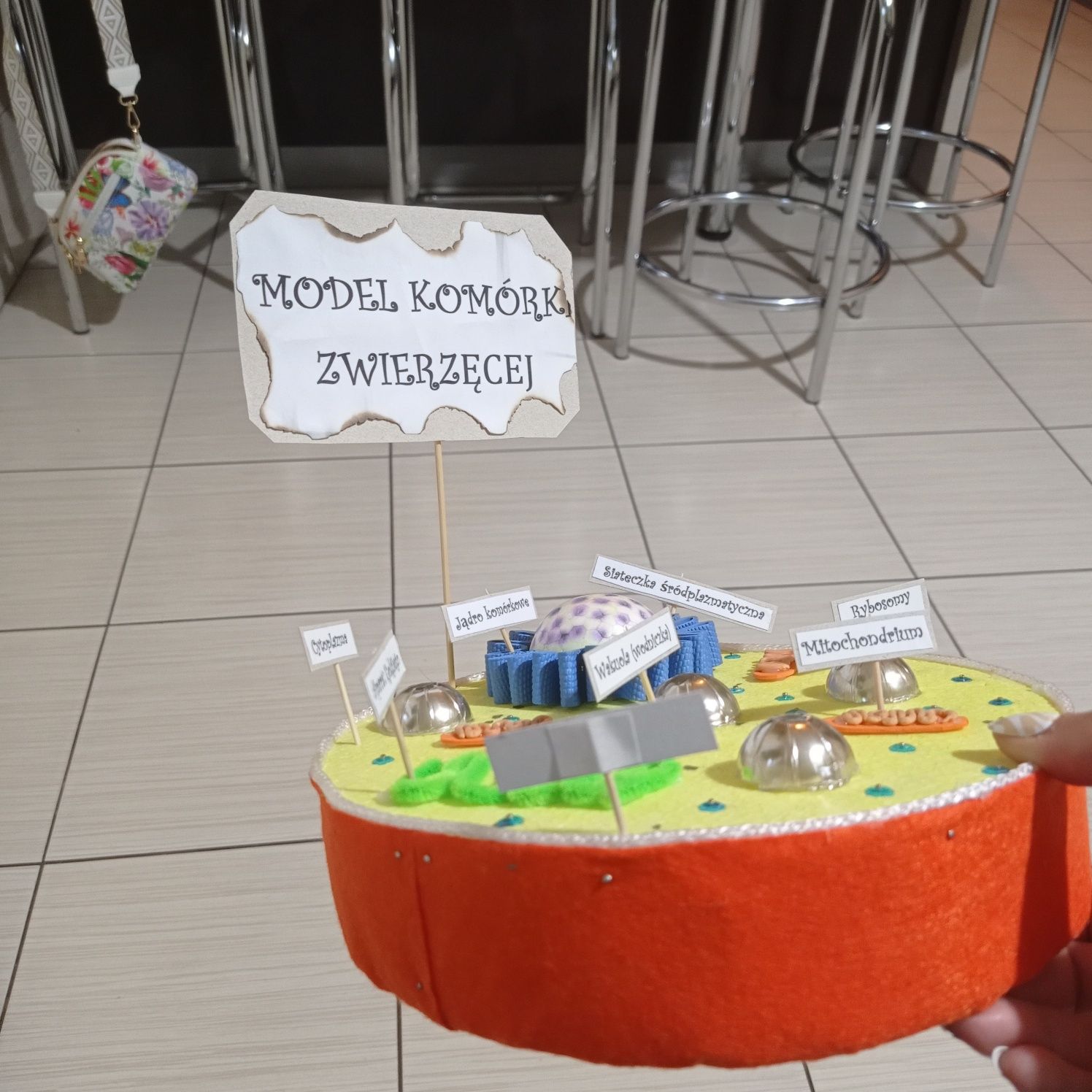 Model komórki zwierzęcej