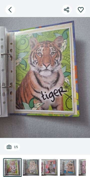 Karteczki do segregatora