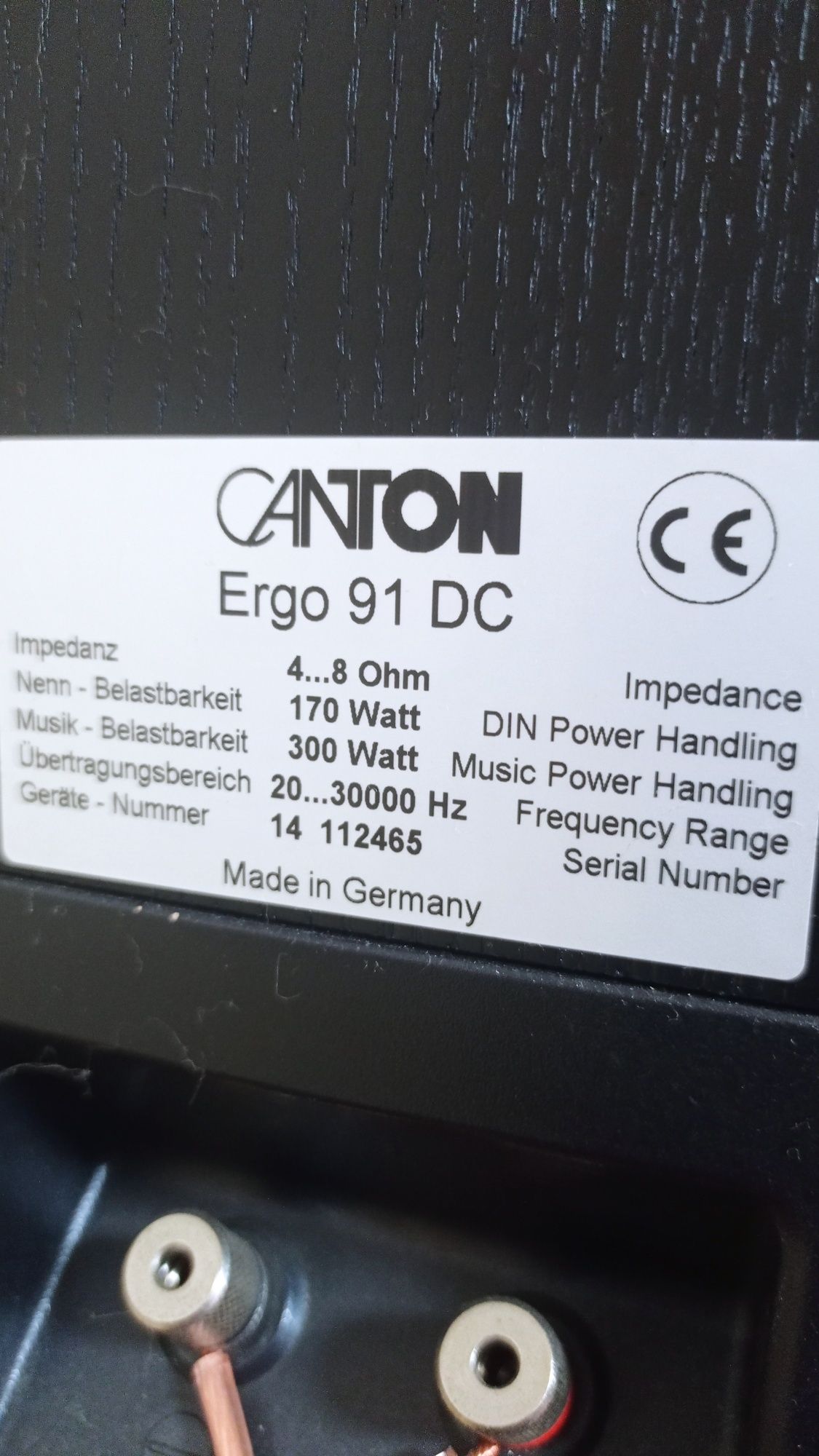 Canton Ergo 91DC