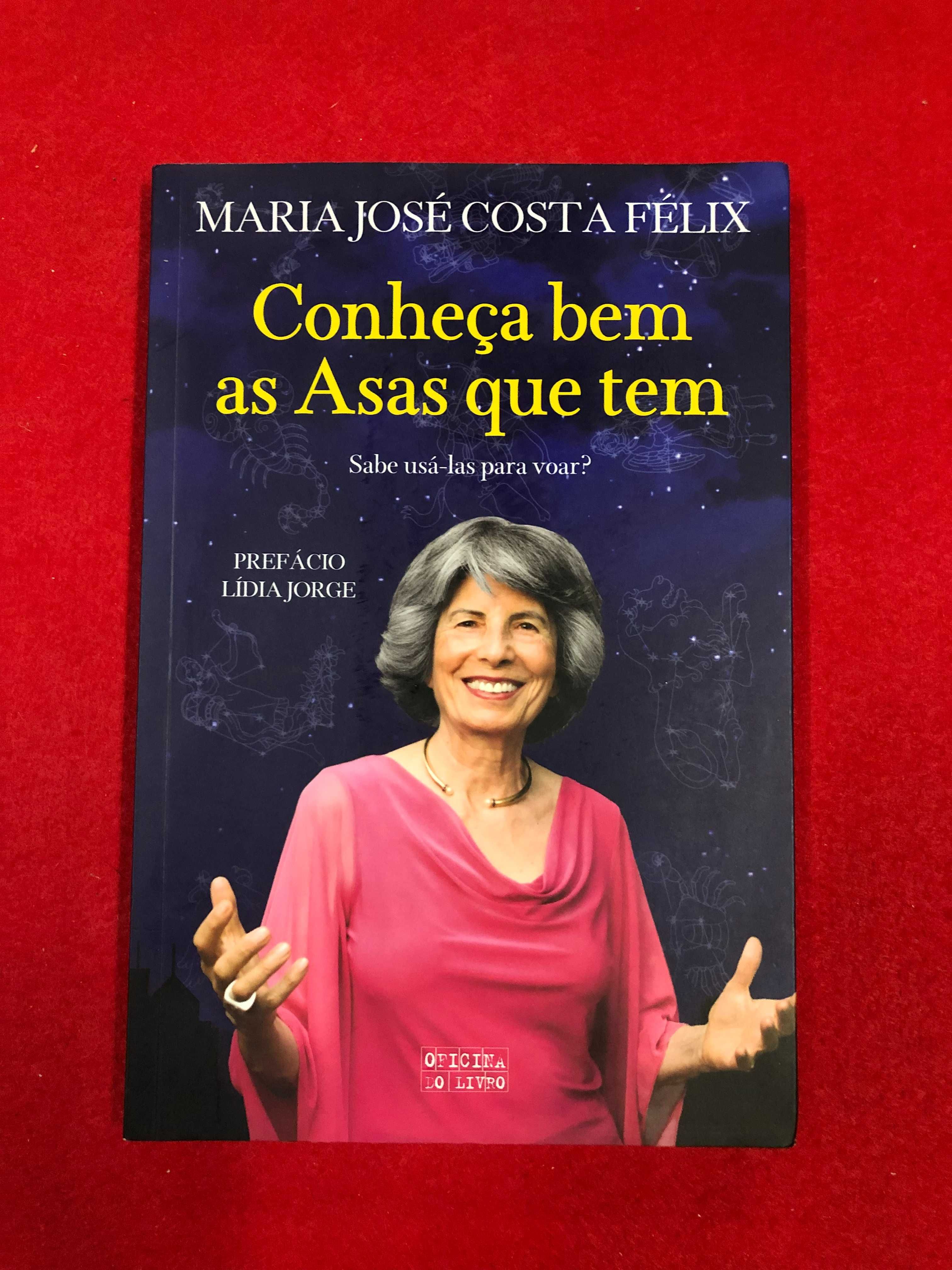 Conheça bem as asas que tem - Maria José Costa Félix