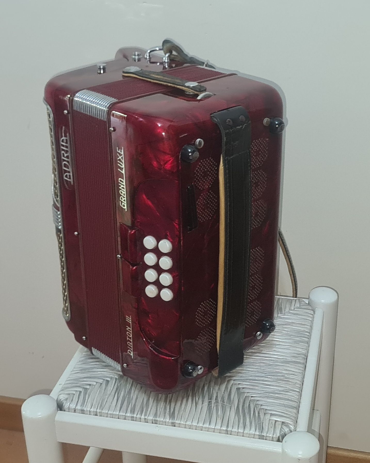 Concertina adria