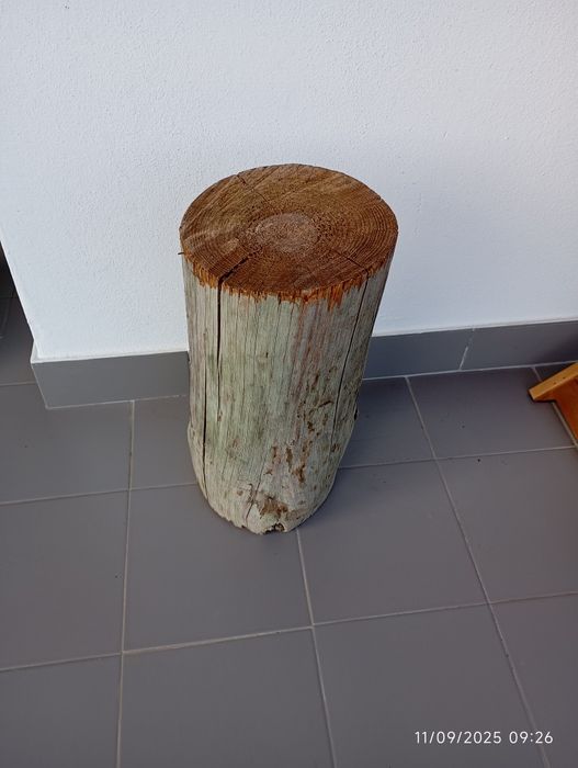 Tronco madeira com 39x17