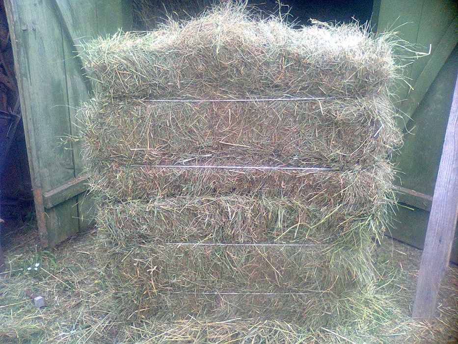 Продам сіно в тюках