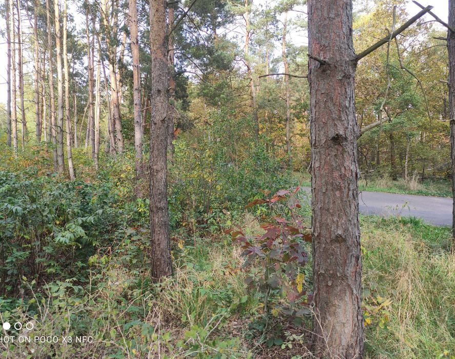 Działka z MPZP, Mariampol, 1100m2, zbiornik wodny Tkaczewska Góra