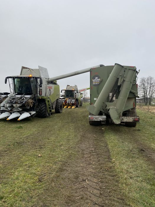 Koszenie kukurydzy claas lexion 750 4x4, lexion 770Tt