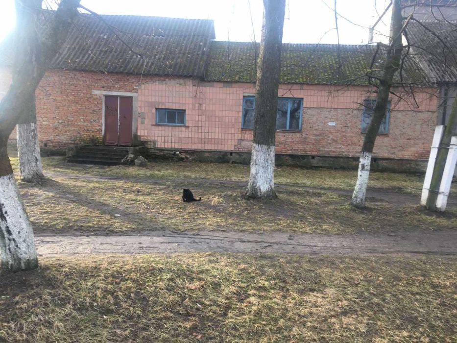 Майновий комплекс 505.9 м2, Іваничі, вул. Перемоги 61