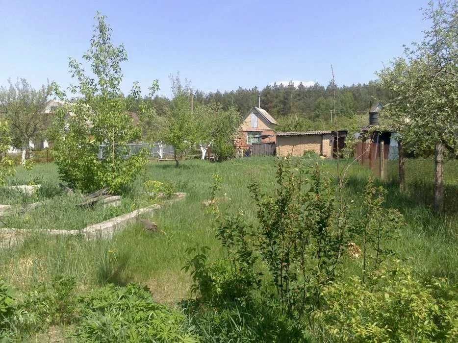 Продаж земельної ділянки. Пилиповичи.