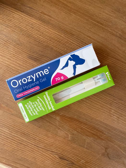 Szczotka do zębów i pasta dla małego psa lub kota