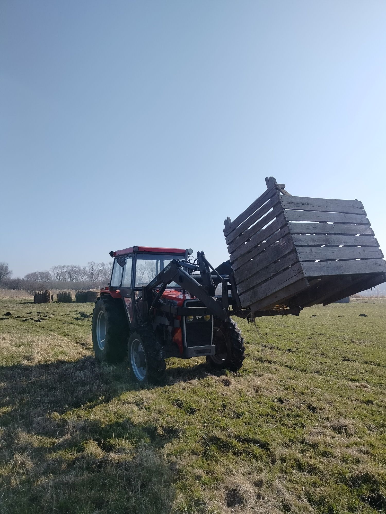 Massey Ferguson 264
