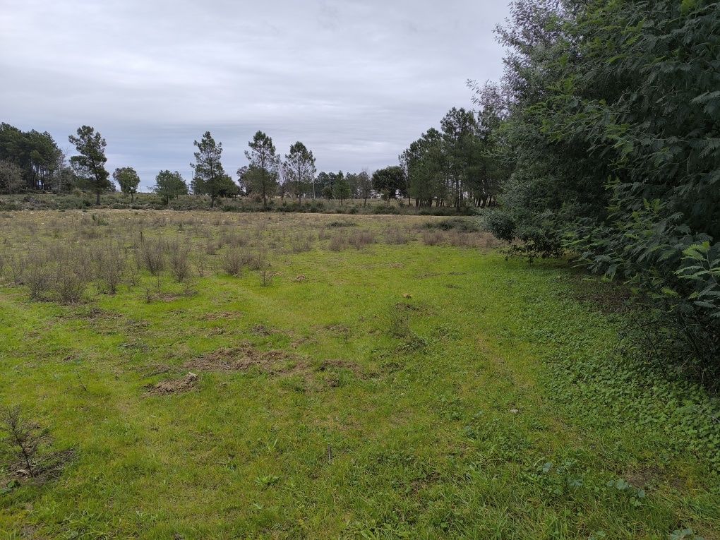 Terreno  com 6750 m2 em Catrão, Vale de Prazeres, Fundão.