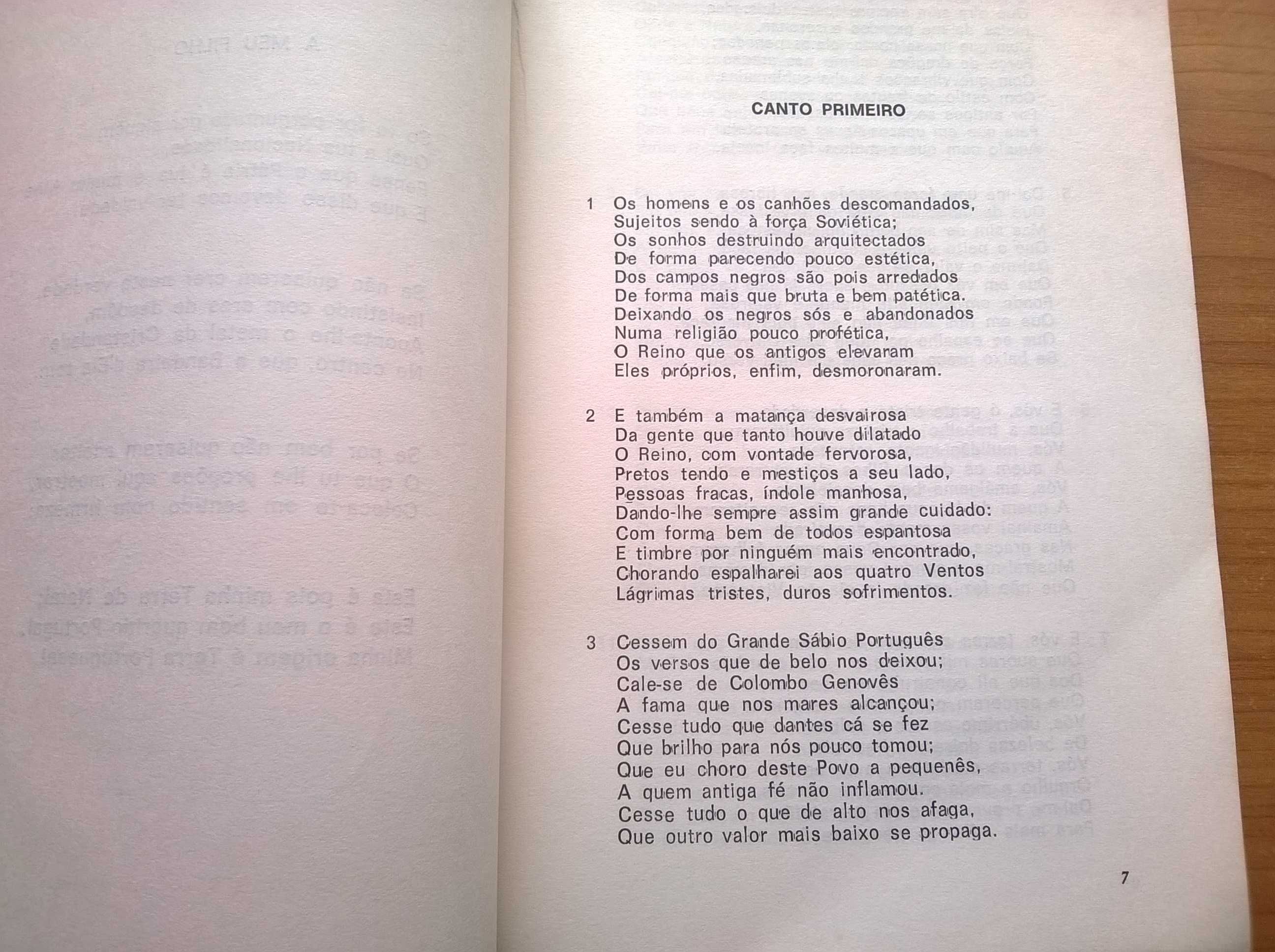 Portuscale (obra de génio lusitano) - Amândio Vilares