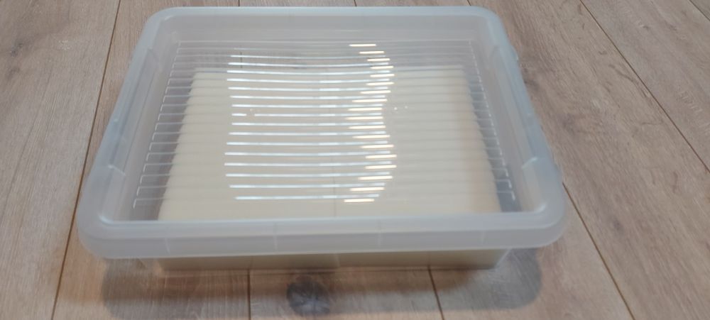 Auloforus hodowla, pojemnik zamykany  zestaw