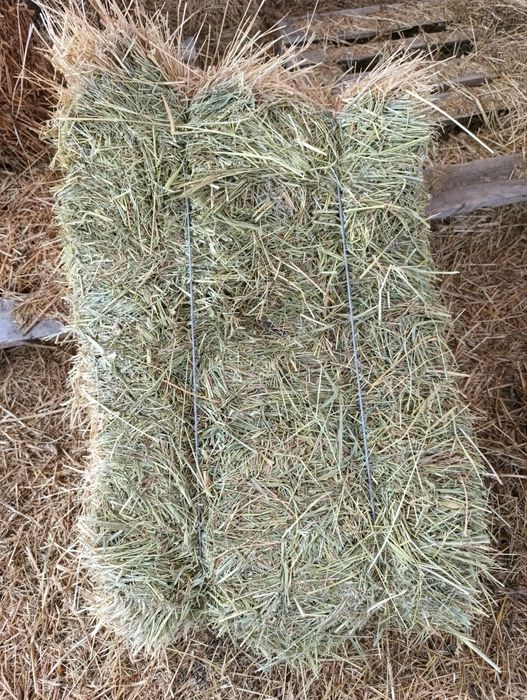 Продам сіно в тюках