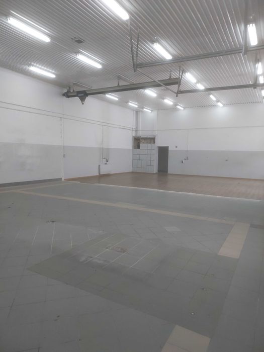 Wynajmę lokal 270m2
