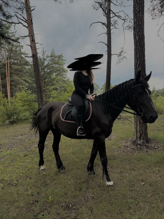 Sprzedam lub zamienie  Klacz śląska