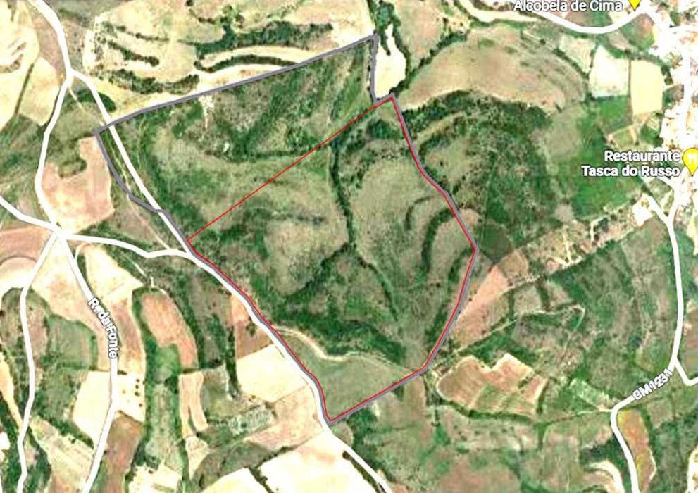 Terreno agrícola para viticultura | Arruda dos Vinhos 13 ha