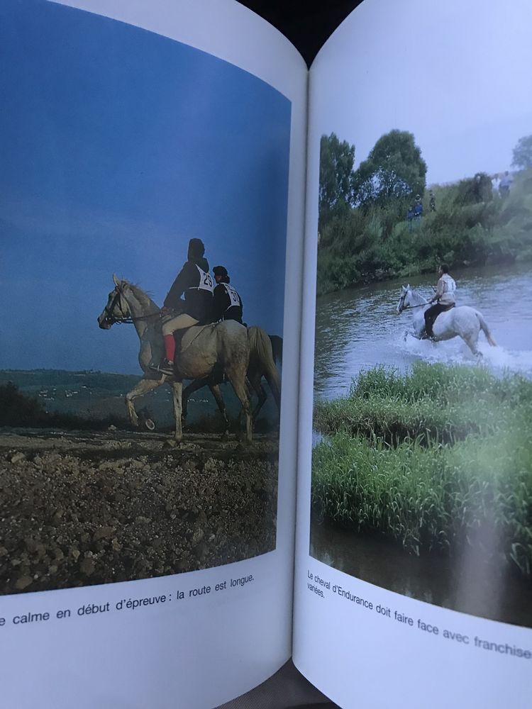 Equitação Les raids d’endurance equestre