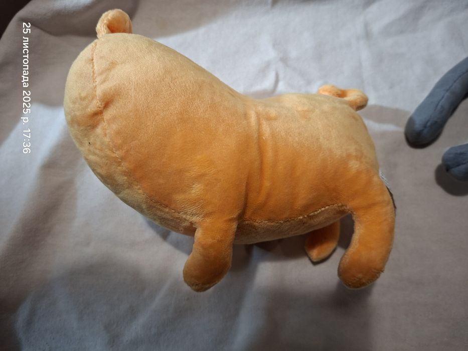 Лапша и Булочка Noodle and bun кошка Нудл мопс Бин