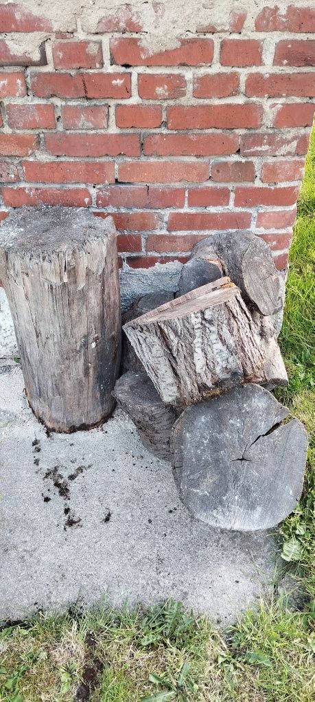 Sprzedam pniak, pień, kloc, klocki drewna