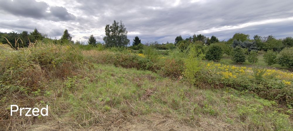 Glebogryzarka separacyjna.Uprawianie gleby ogród warzywniak niwelacja