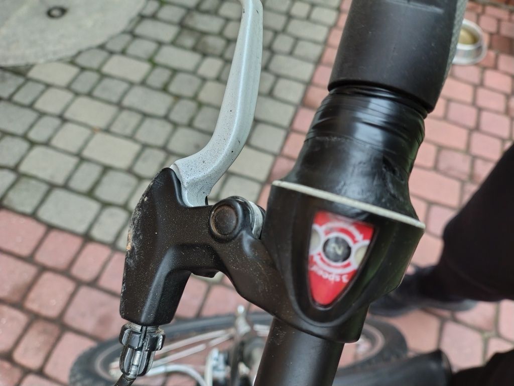 Rower batavus 24 całe
