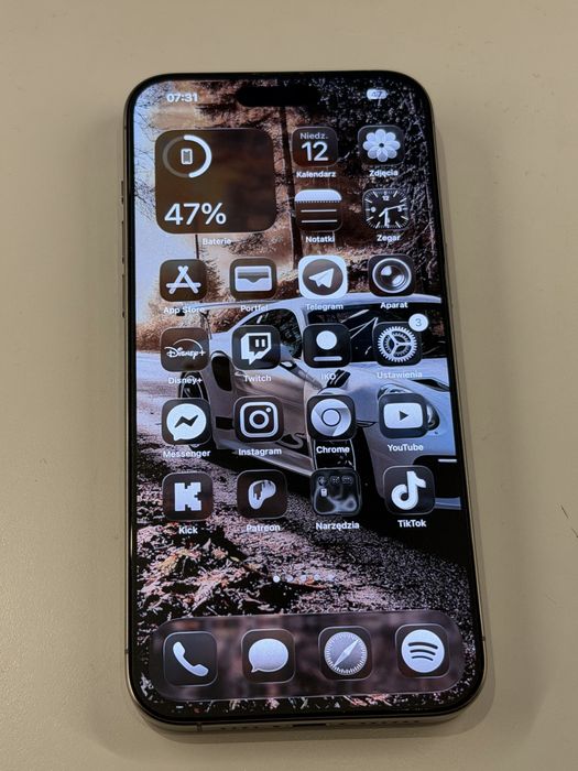 iPhone 15 Pro Max 256GB