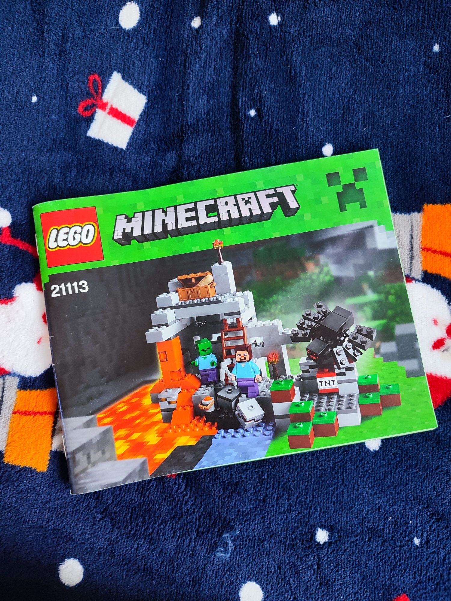 Zestaw klocków LEGO Minecraft 21113
