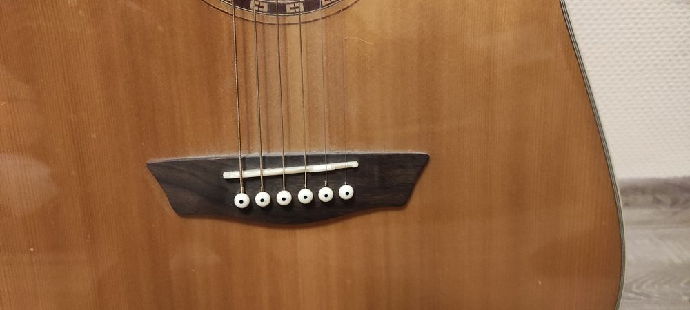 Гітара  Washburn. Model Wd10s