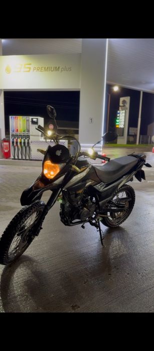 Продам Лонцін прус 200