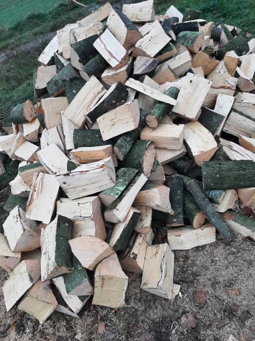 Drewno opałowe buk, dąb, brzoza