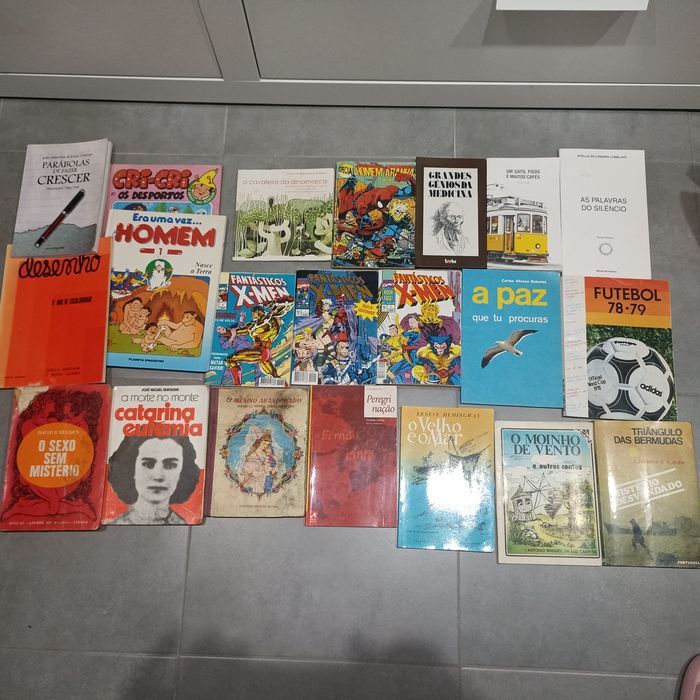 Lote de livros escolares e outros