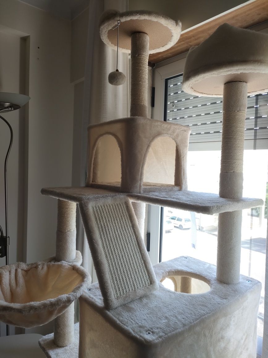 Arranhador e ginásio de gatos