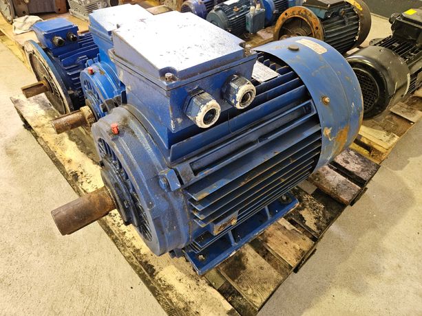 Silnik elektryczny Pro Motor 22kW YX3 200L2-6