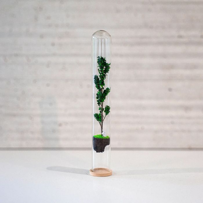 Spring - Tubo 2,5cm diâmetro x 20cm altura