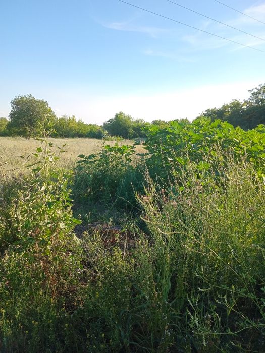 Продам участок в пос. Кировское