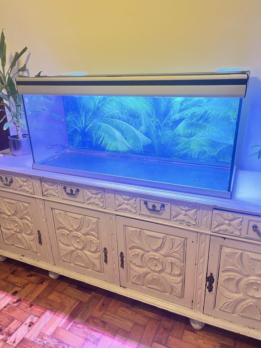 Aquario grande 120x40x45