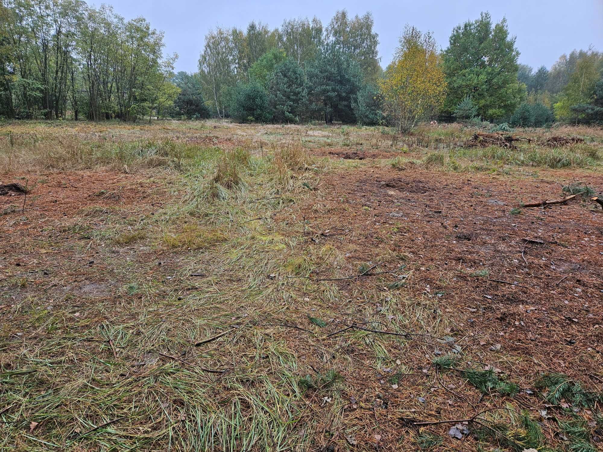 Grunt pod uprawę rolniczą dzierżawa Feliksów pod Sochaczewem