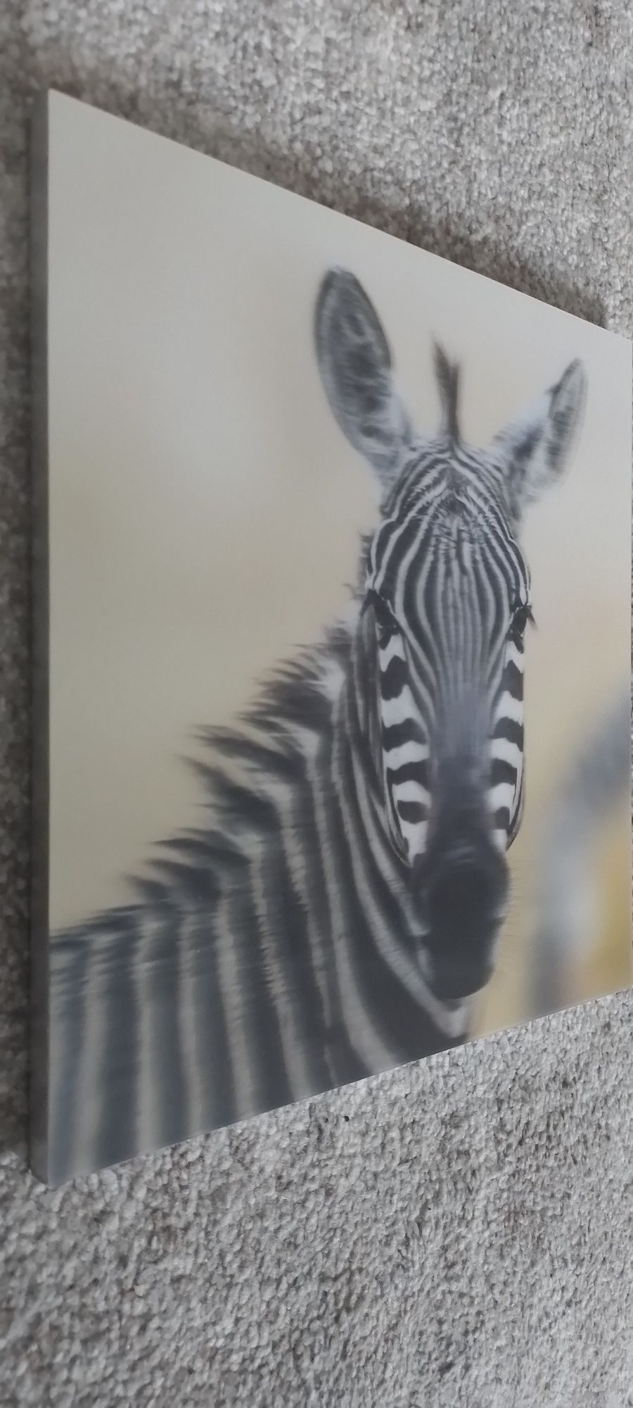 Obrazy obrazki trójwymiarowe 3D lew i zebra