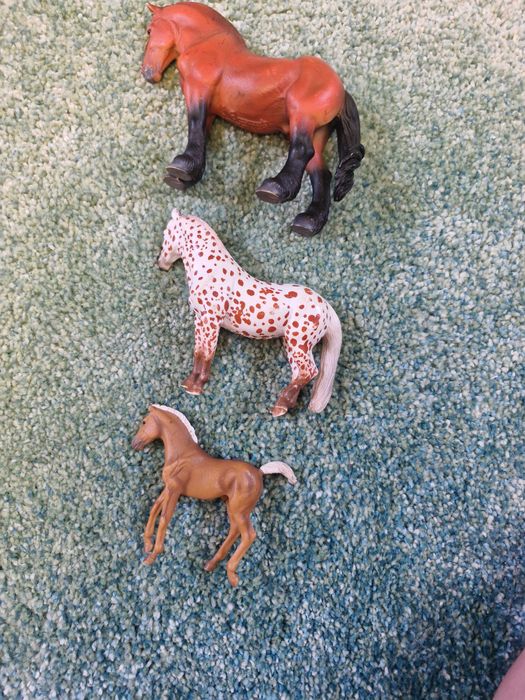 zestaw 3 koni collecta