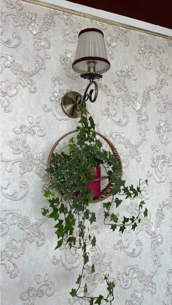 Zestaw + Gratis 3w1 kwietnik bambusowy Dom Ogród + Pleciona Półka boho