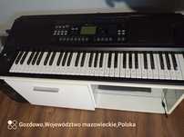 Oferta CORG EK-50