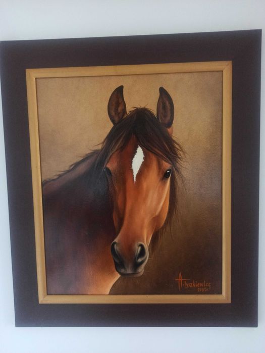 Piękny portret  konia  na płótnie w solidnej ramie autor Tyszkiewicz