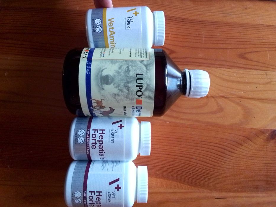 Suplementy dla psa i kota