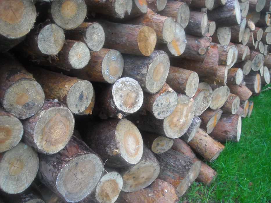 Drewno kominkowe sezonowane 2 -lata Suche Buk Dąb Brzoza Akacja Sosna