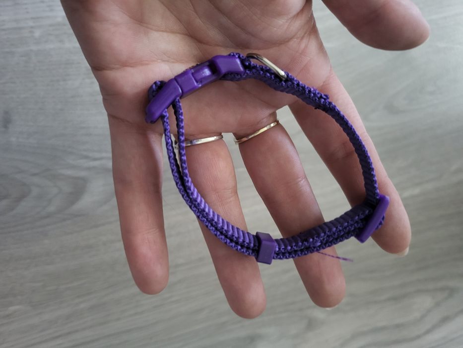 Smycz i dwie obroże rozmiar xs